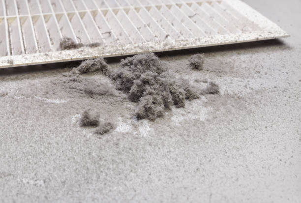 Best Air Duct Cleaning Near Me  in Montezuma, IA